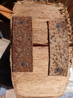 stump straps.webp